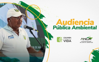 Audiencia Pública Ambiental