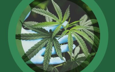 Encuesta de opinión médica sobre el cannabis de uso medicinal