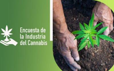 Encuesta de la Industria del Cannabis