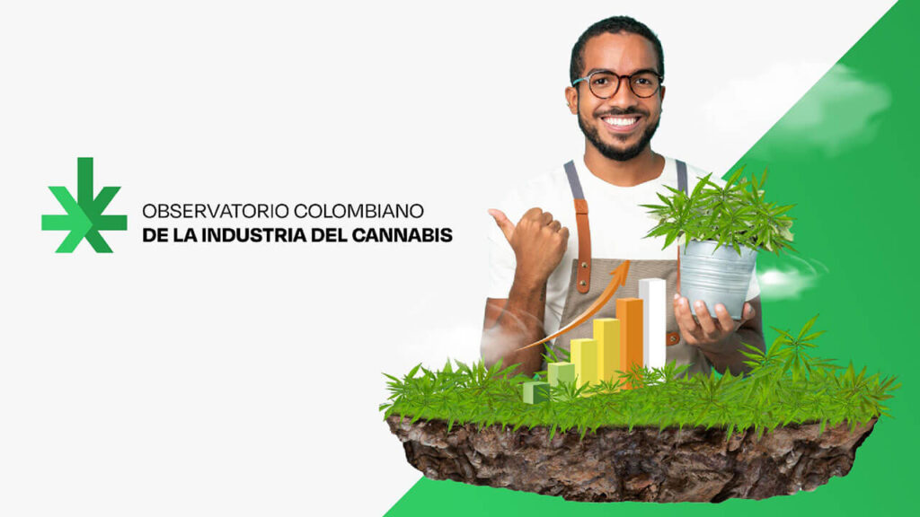 Lanzamiento del Observatorio de la Industria del Cannabis