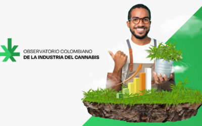 Observatorio Colombiano de la Industria del Cannabis | Lanzamiento