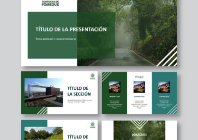 Presentaciones corporativas