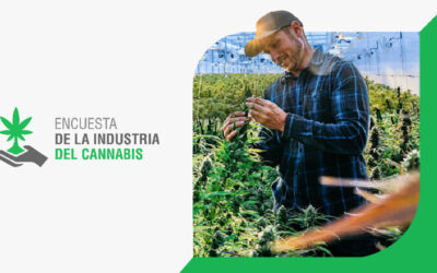 Resultados de la Encuesta de la Industria del Cannabis